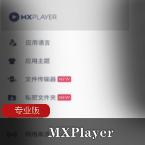 MXPlayer v1.37.4专业版