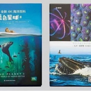 经典纪录片《蓝色星球》：探索海洋的历史、物种与生态，跟随戴维·艾登堡的求生之路！
