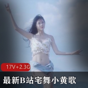 B站超火改编小黄歌宅舞视频-17V-2.3G，韵味十足，尴尬欢乐！